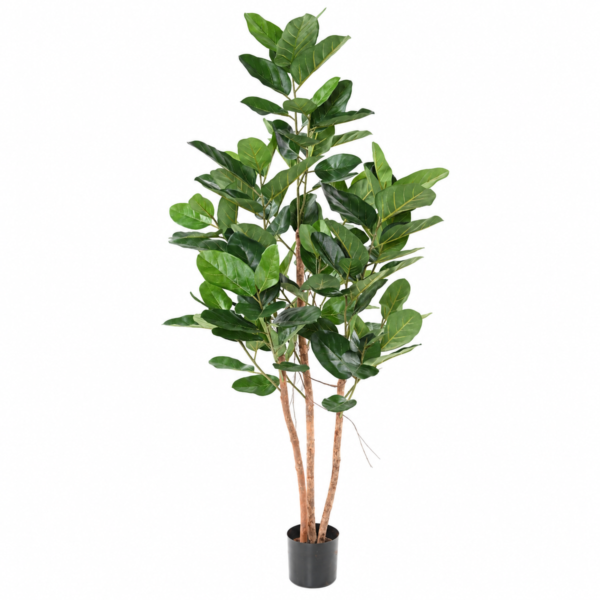 Ficus Artificiel Audrey 150 cm | Belle Verdure