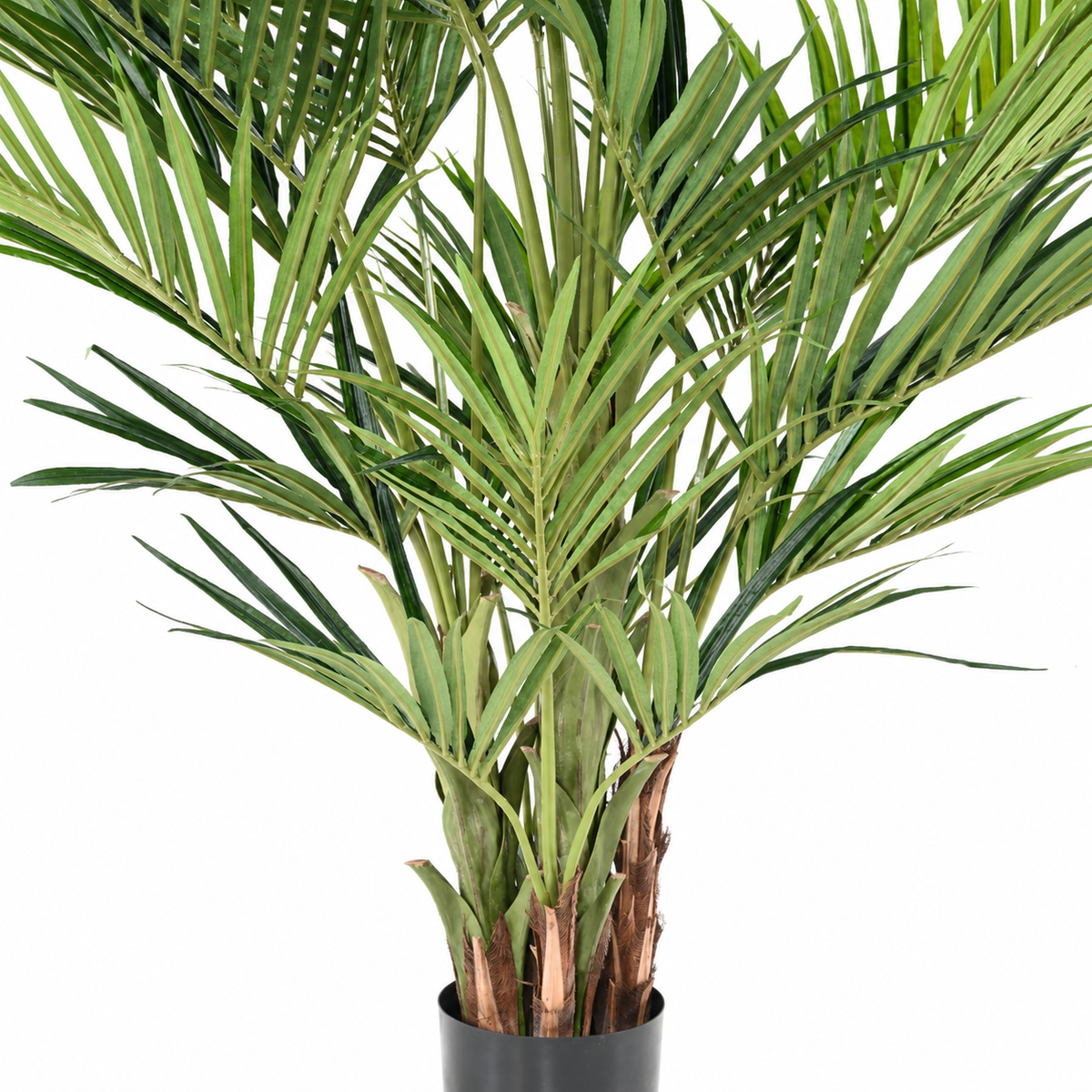 Palmier artificiel Kentia Royal 270 cm | Belle Verdure