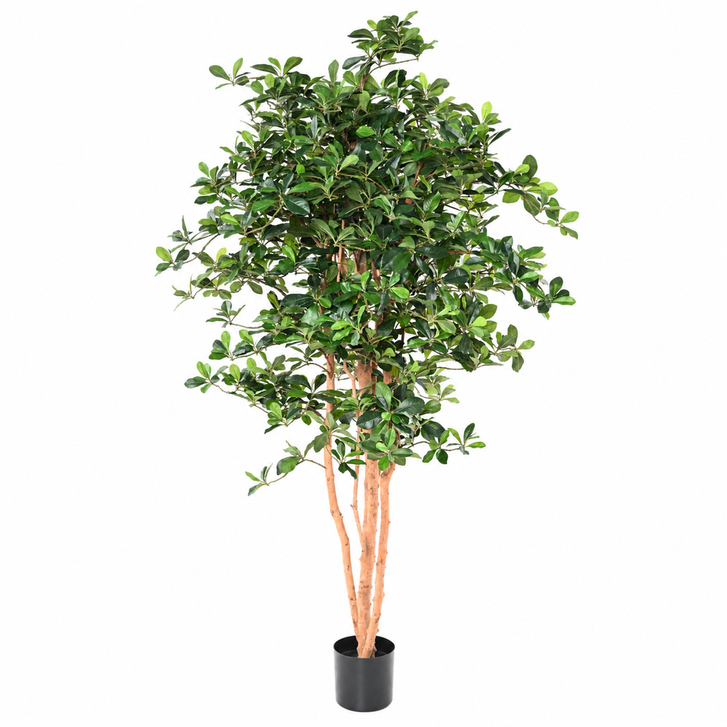 Ficus Artificiel Black Olive 178 cm | Belle Verdure