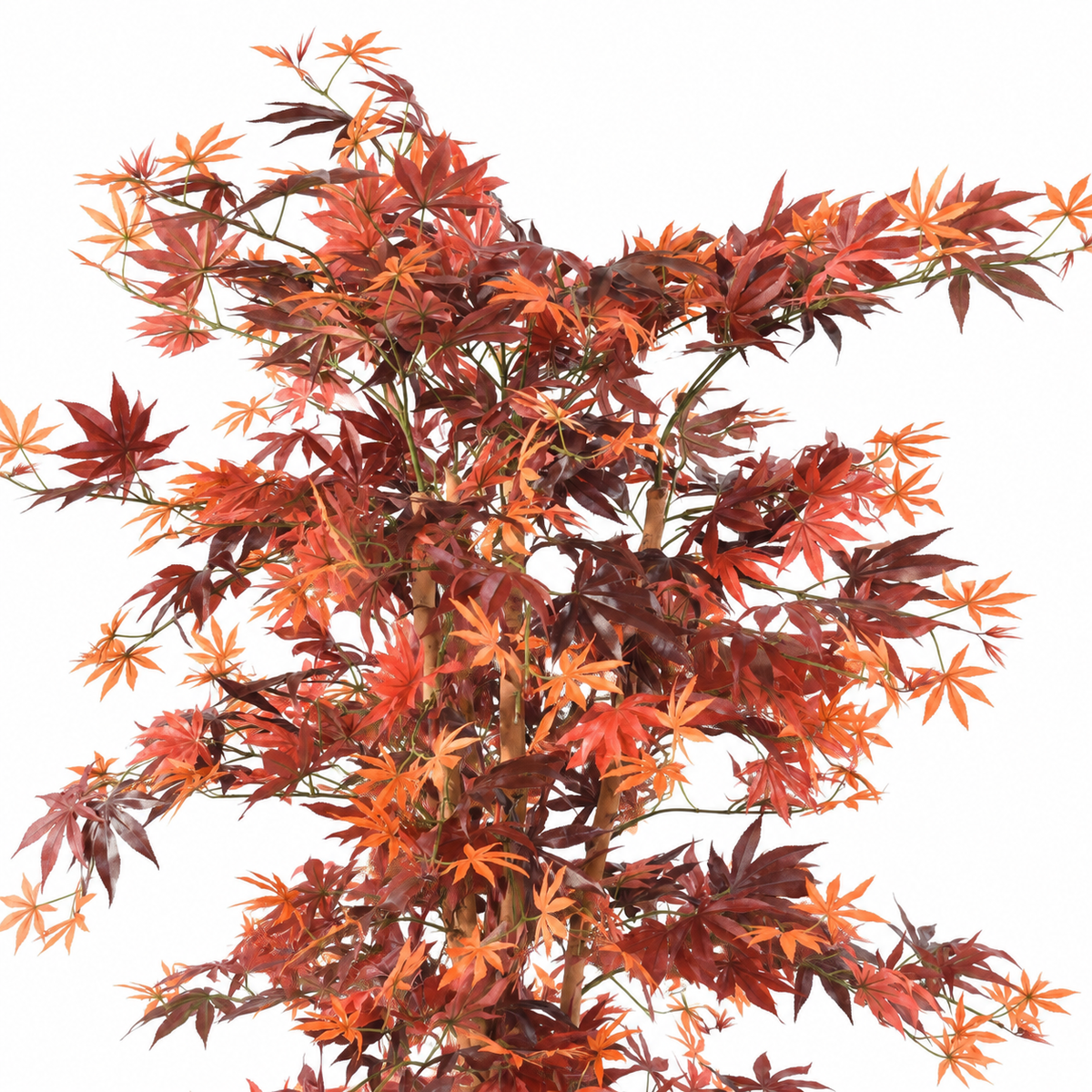 Aralia Artificiel Élégance Automne 150 cm | Belle Verdure