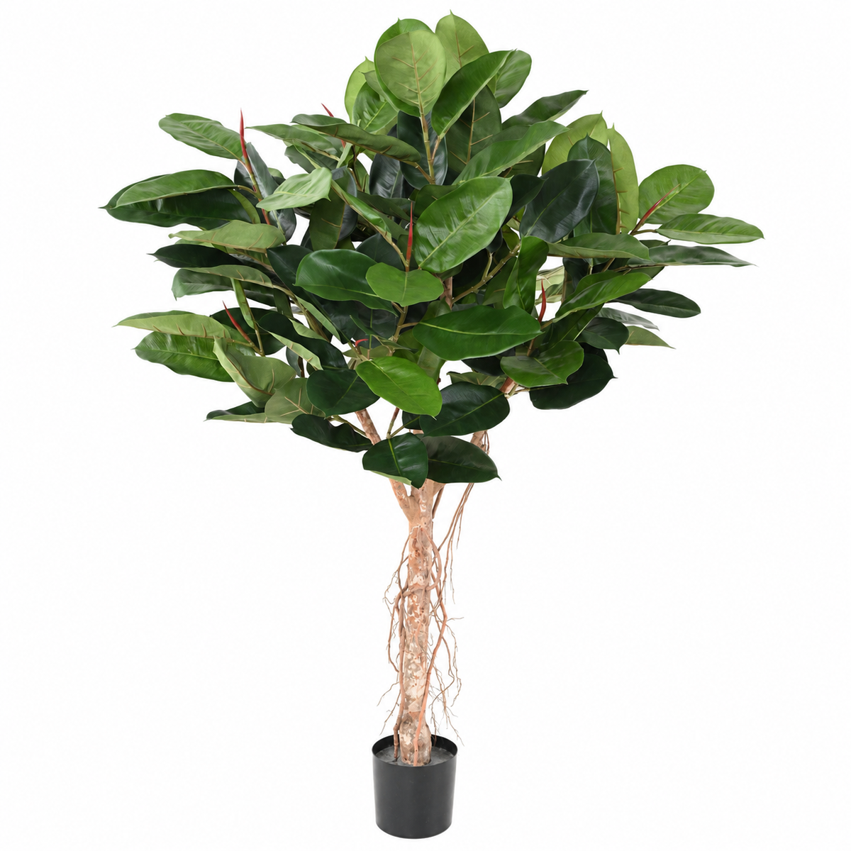 Ficus Artificiel Elastica Tête 160 cm | Belle Verdure