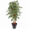 Ficus Artificiel Exotica 180 cm Deluxe | Belle Verdure
