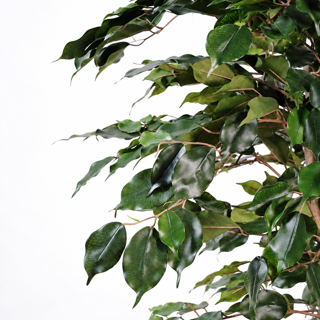 Ficus Artificiel Exotica 180 cm | Belle Verdure