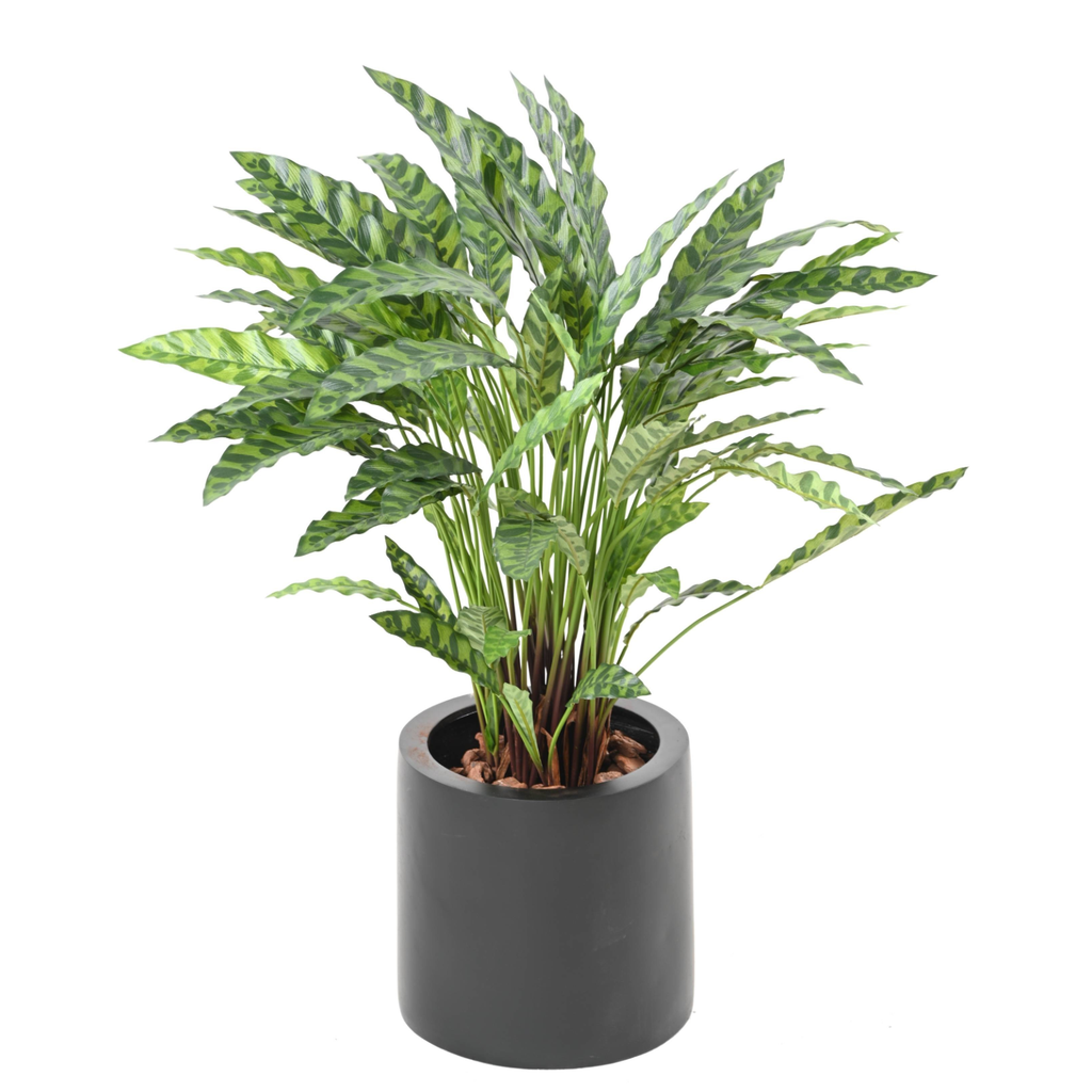 Plante Artificielle Calathea 90 cm | Belle Verdure