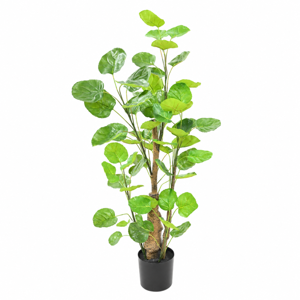 Aralia Fabian Artificiel 90 cm | Belle Verdure