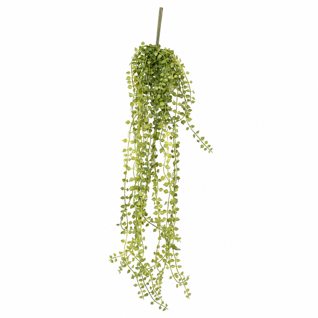 Callisia Artificielle Retombante 55 cm | Belle Verdure