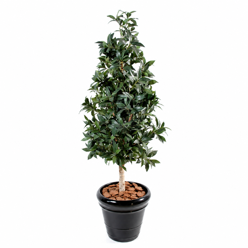 Laurier Artificiel Signature 150 cm | Belle Verdure