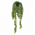Fougère Dicksonia Artificielle Retombante Anti-UV en Pot 75 cm | Belle Verdure