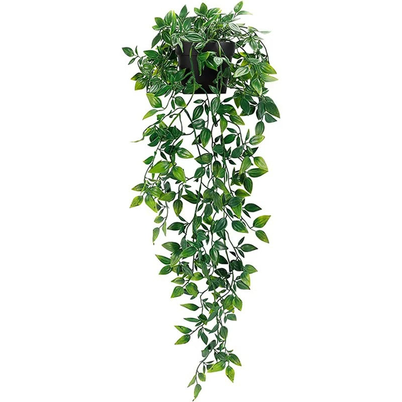 Plante Artificiels de Lierre