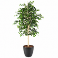 Bouleau Artificiel Signature 210 cm | Belle Verdure
