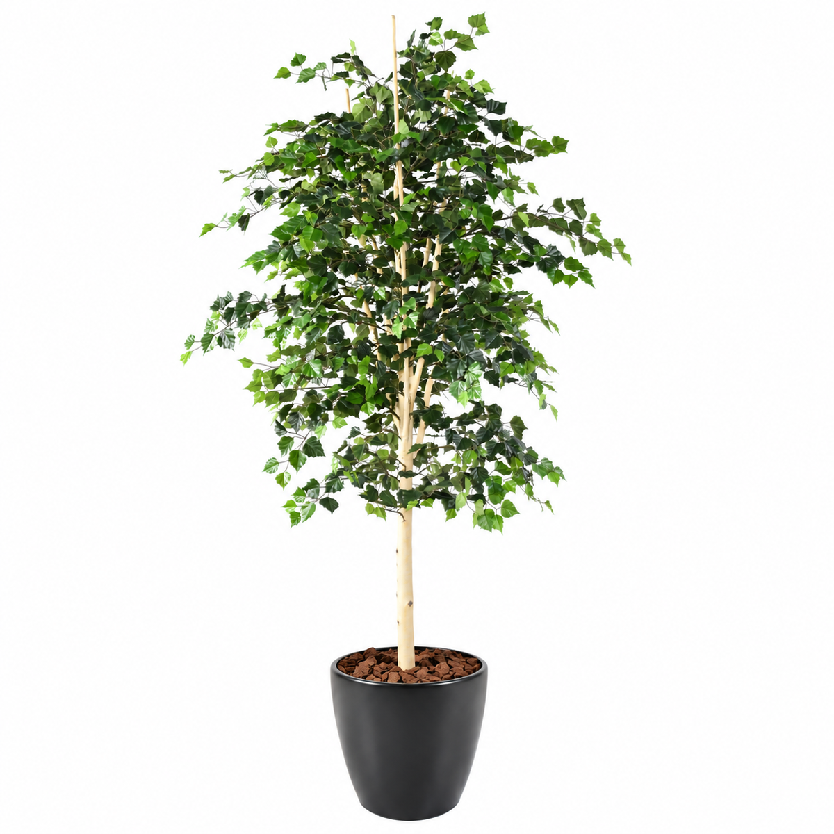 Bouleau Artificiel Signature 210 cm | Belle Verdure