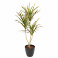 Dracaena Artificiel 140 cm | Belle Verdure