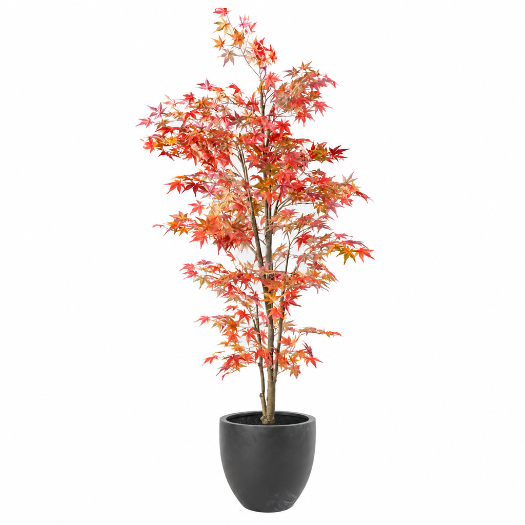 Aralia Artificiel Signature Automne 220 cm | Belle Verdure