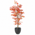 Aralia Artificiel Signature Automne 220 cm | Belle Verdure