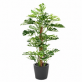 Philodendron Monstera Artificiel Panache 160 cm | Belle Verdure