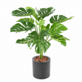 Philodendron Monstera Artificiel Signature 95 cm | Belle Verdure