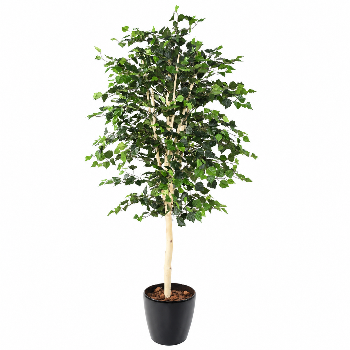 Bouleau Artificiel Signature 170 cm | Belle Verdure
