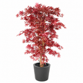 Aralia Artificiel Élégance Rouge 160 cm | Belle Verdure