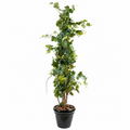 Vigne Artificielle  200 cm | Belle Verdure