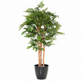 Acacia Artificiel Signature 170 cm | Belle Verdure