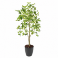 Aralia Artificiel Signature Vert 150 cm | Belle Verdure