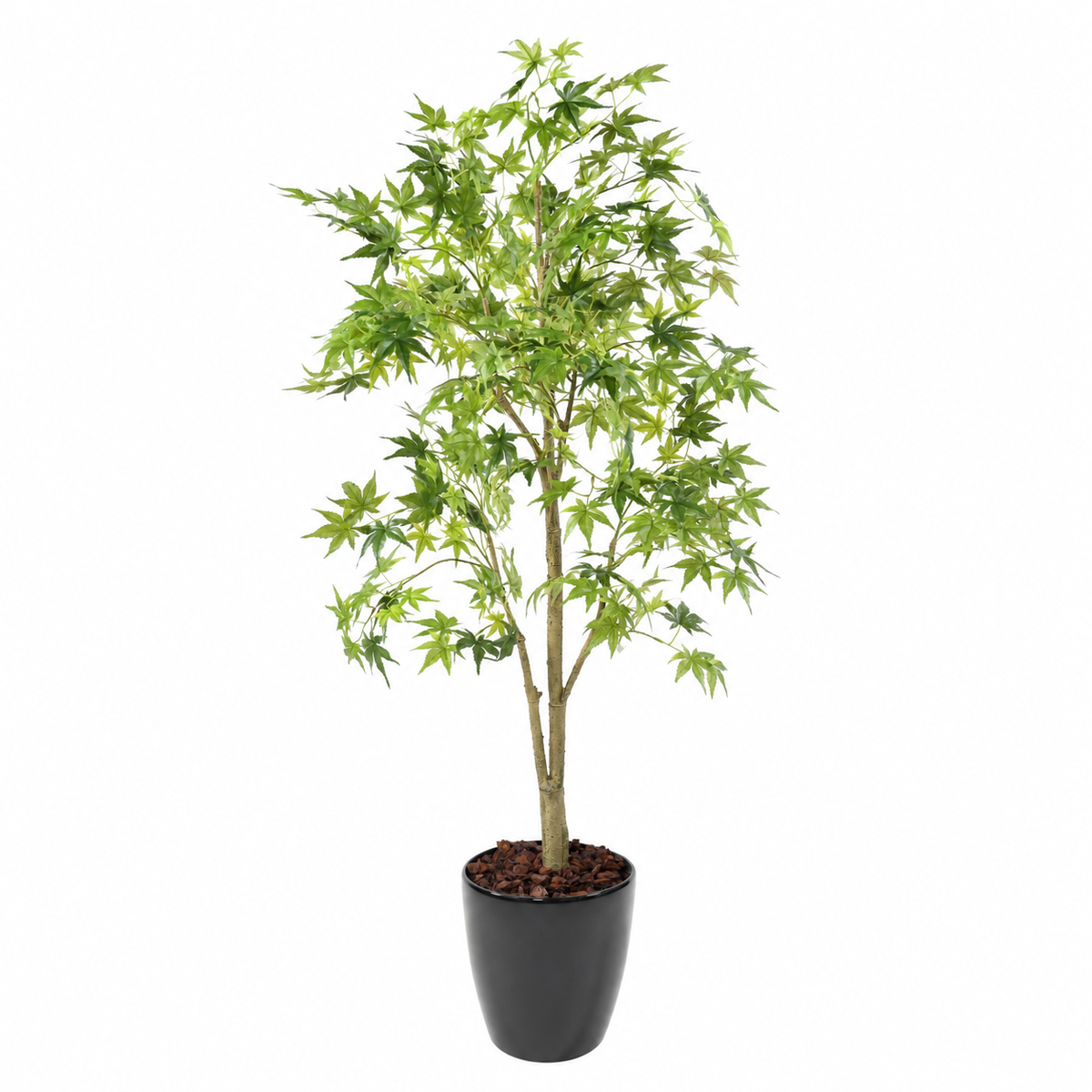 Aralia Artificiel Signature Vert 150 cm | Belle Verdure