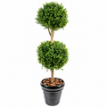 Buis Artificiel Tige Double Boule 140 cm | Belle Verdure