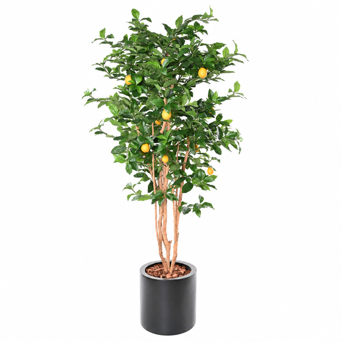 Citronnier Artificiel 180 cm | Belle Verdure