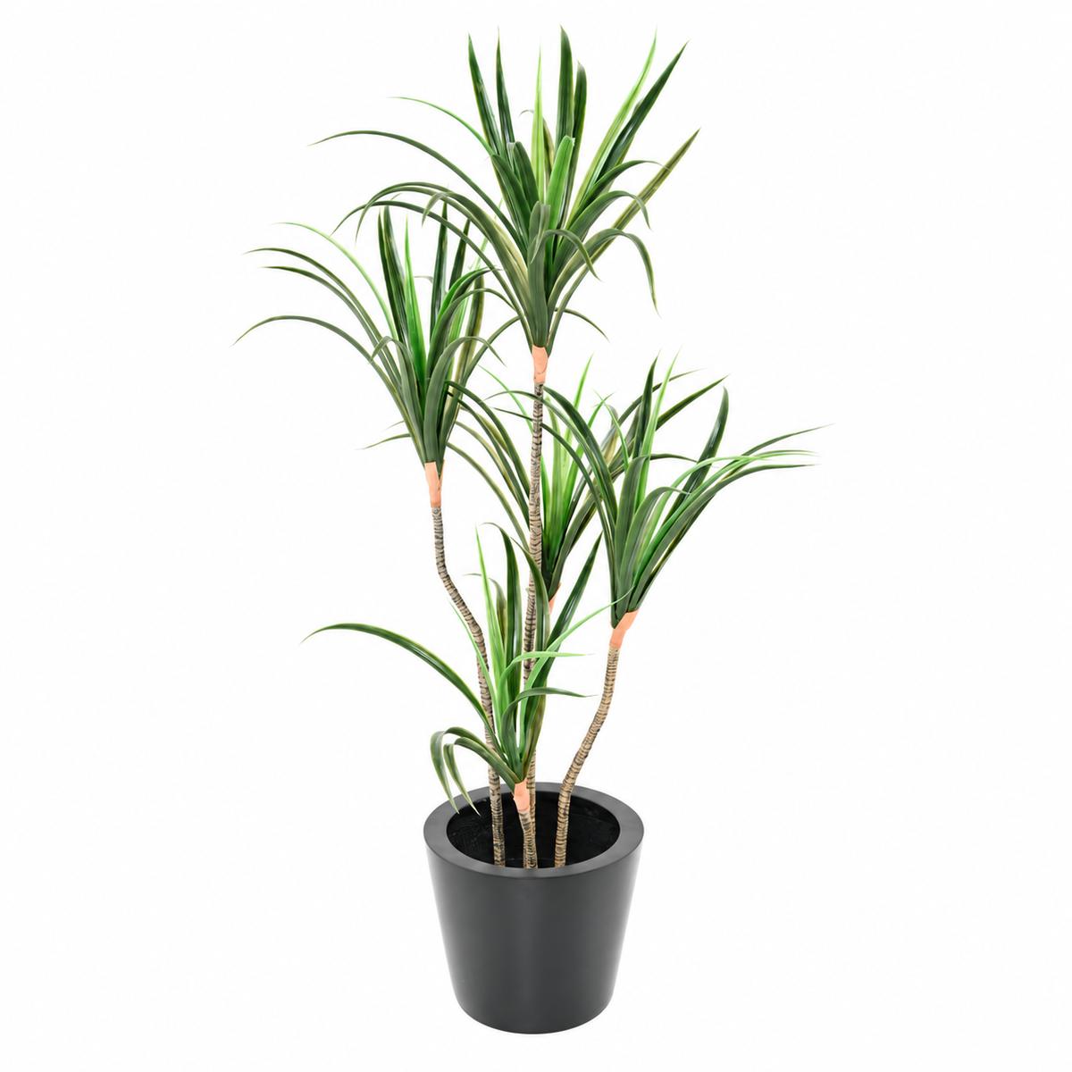 Dracaena Marginata Artificiel 125 cm | Belle Verdure