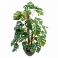 Philodendron Monstera Artificiel 100 cm | Belle Verdure