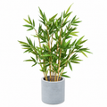 Bambou Artificiel Classique 60 cm | Belle Verdure