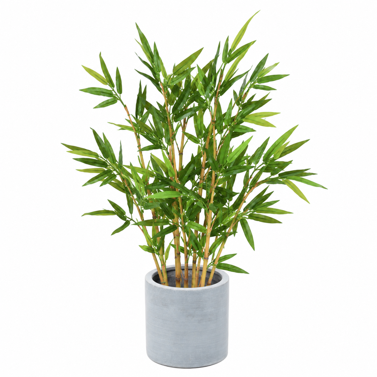 Bambou Artificiel Classique 60 cm | Belle Verdure