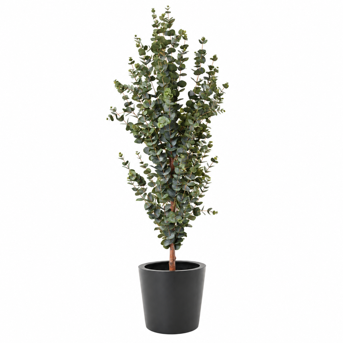 Eucalyptus Artificiel Provence 155 cm | Belle Verdure