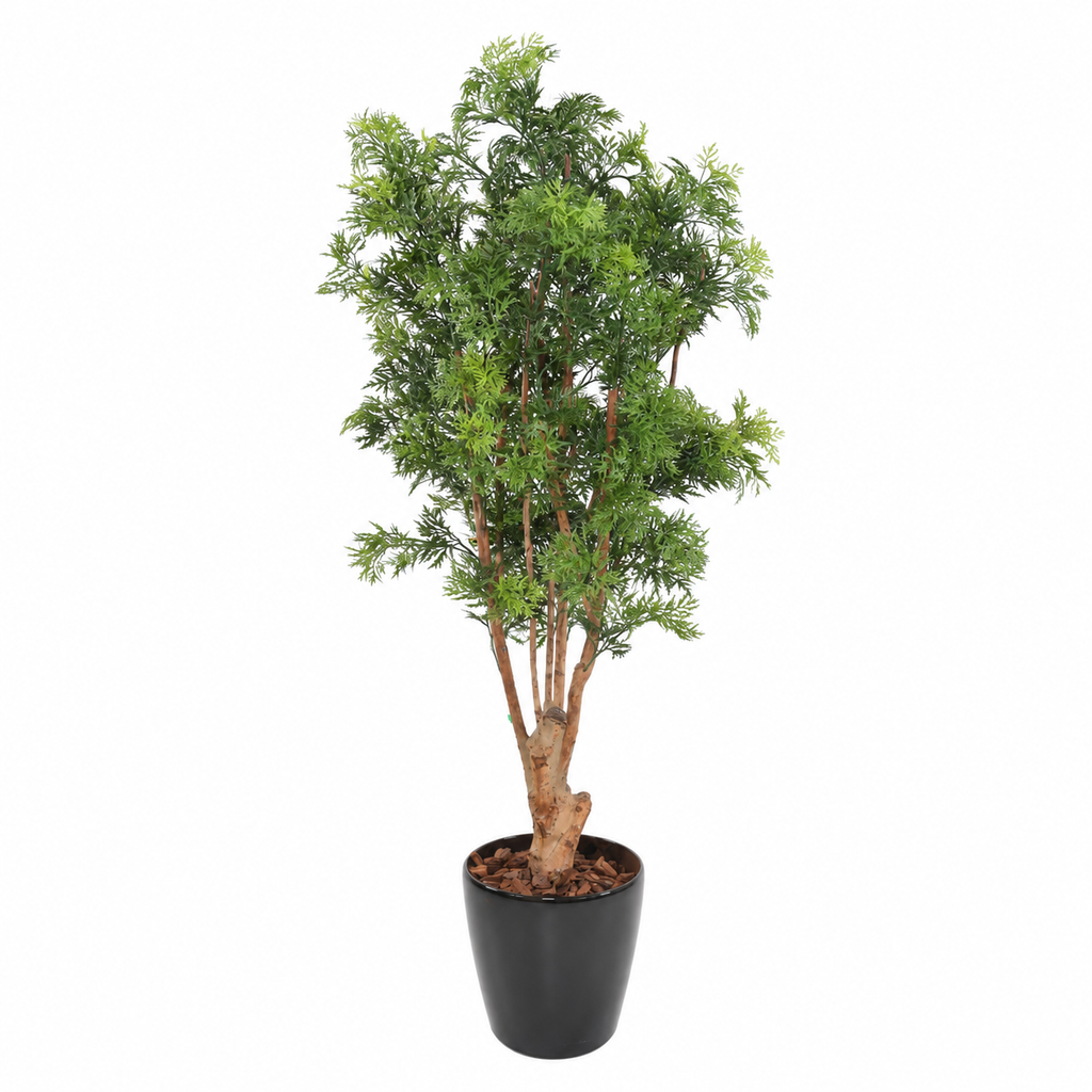 Aralia Artificiel Prestige Anti-UV 170 cm | Belle Verdure