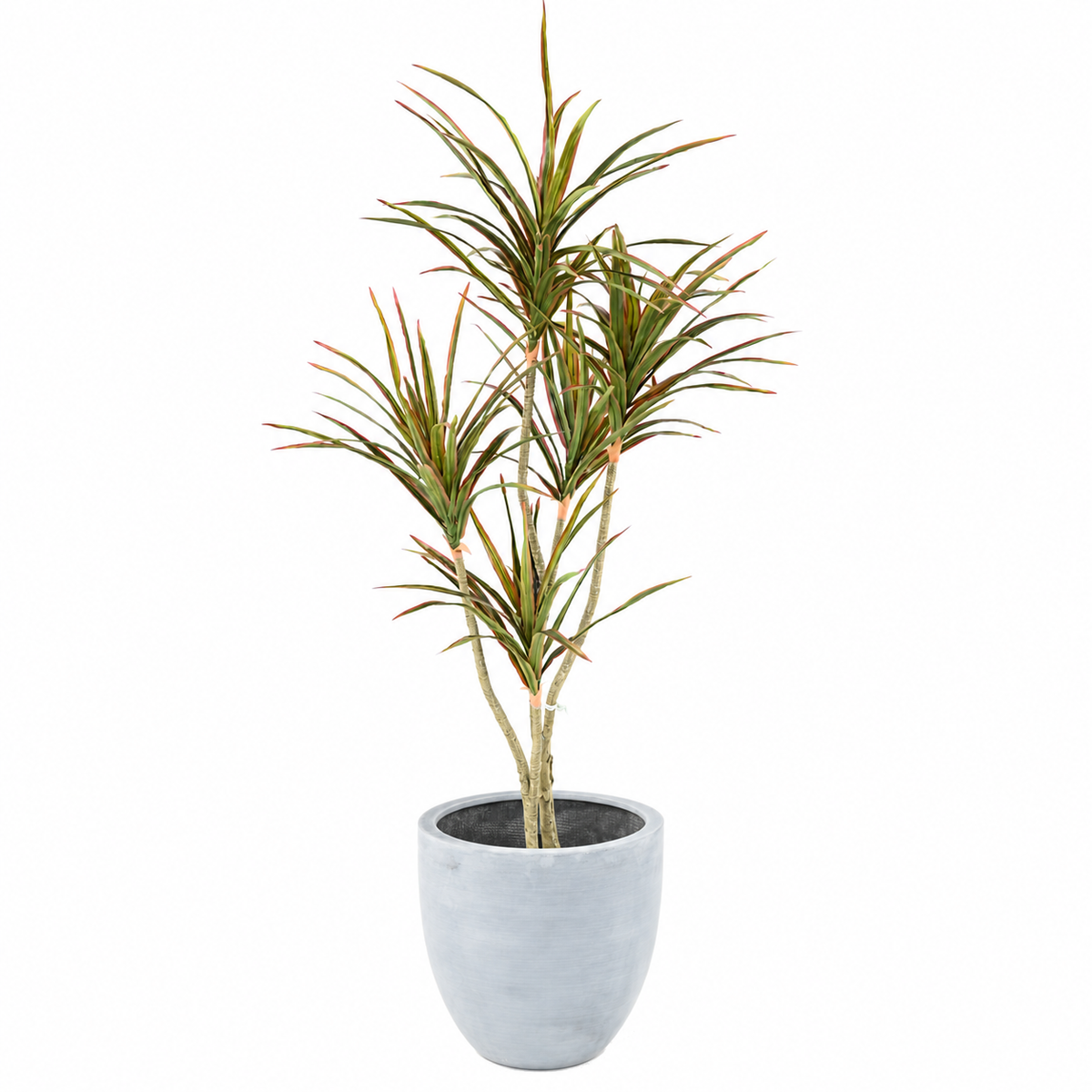 Dracaena Artificiel 190 cm | Belle Verdure