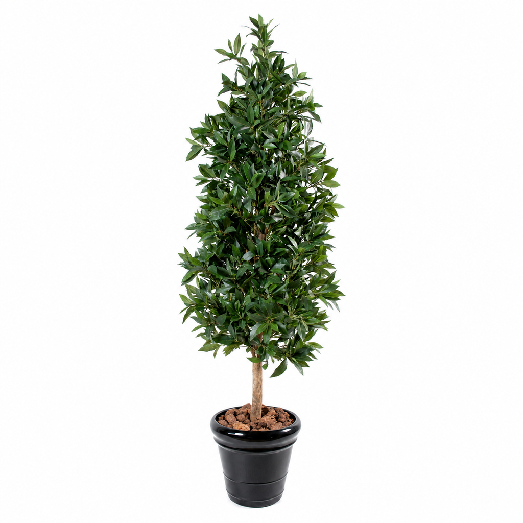 Laurier Artificiel Deluxe 180 cm | Belle Verdure