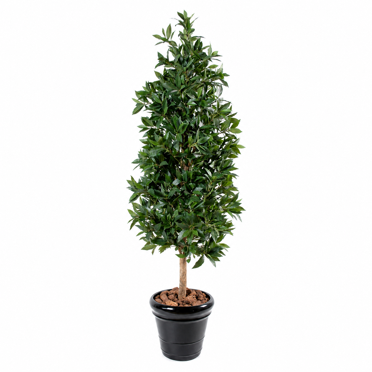Laurier Artificiel Deluxe 180 cm | Belle Verdure