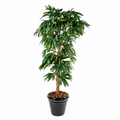 Manguier Artificiel 150 cm | Belle Verdure