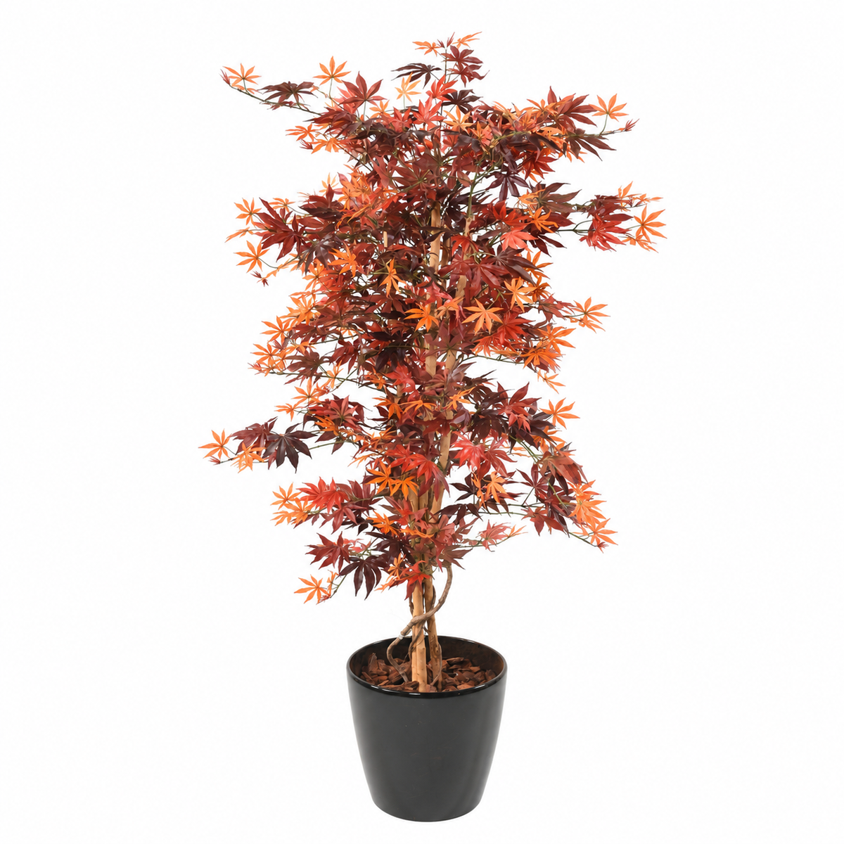 Aralia Artificiel Élégance Automne 150 cm | Belle Verdure