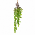 Élatine Artificielle Retombante 84 cm | Belle Verdure