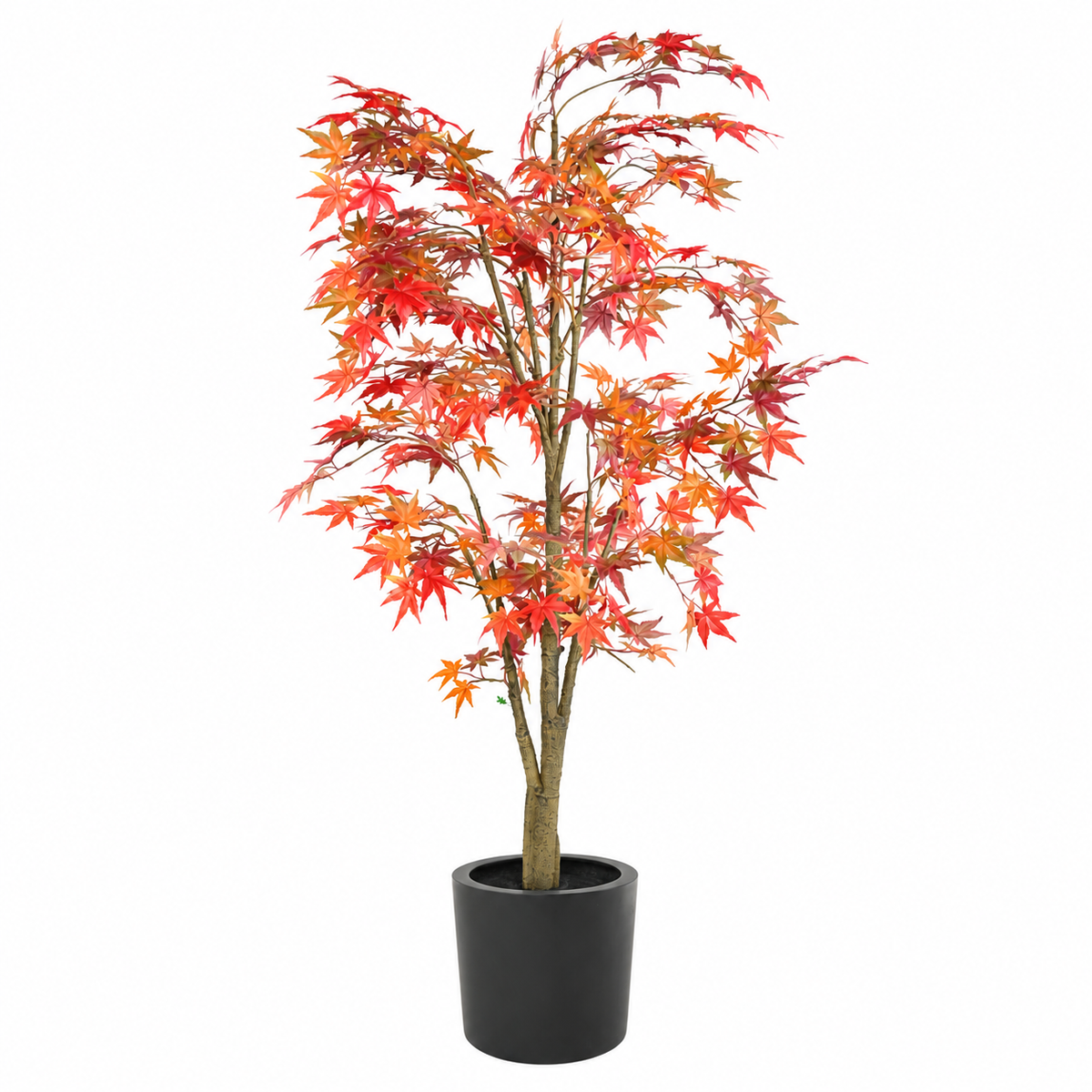 Aralia Artificiel Signature Automne 175 cm | Belle Verdure