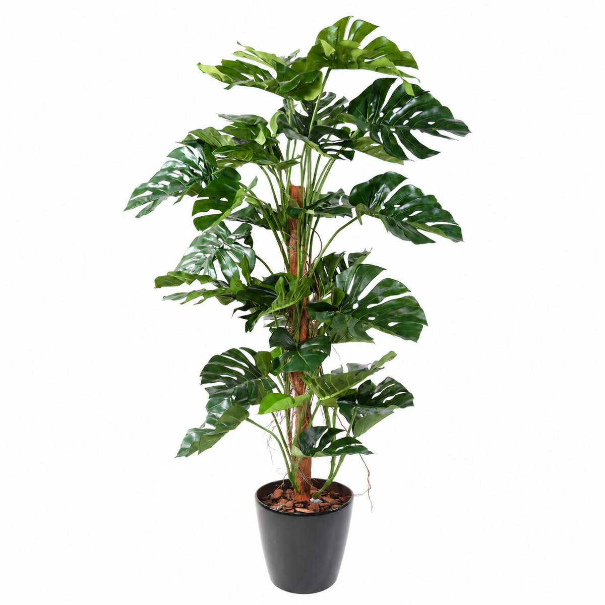 Philodendron Monstera Artificiel 160 cm | Belle Verdure