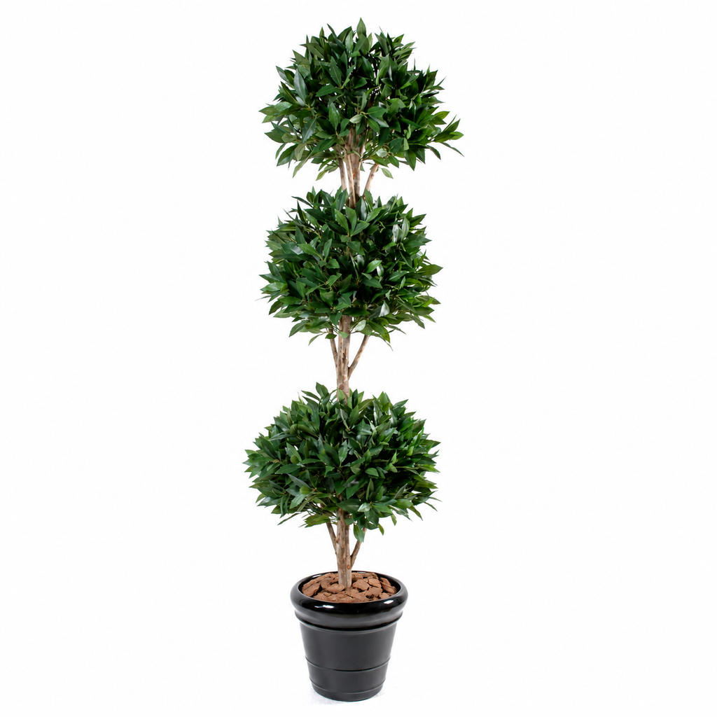 Laurier Artificiel Prestige 165 cm | Belle Verdure