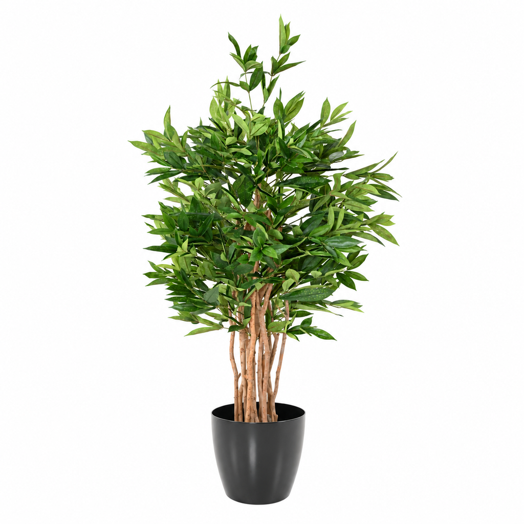 Dracaena Surculosa Artificiel 155 cm | Belle Verdure