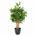 Dracaena Surculosa Artificiel 155 cm | Belle Verdure