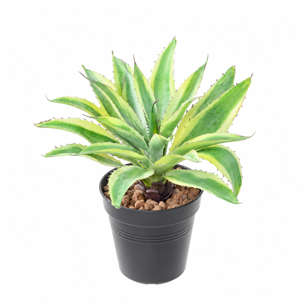 Plante artificielle Aloé Vert 27 cm | Belle Verdure