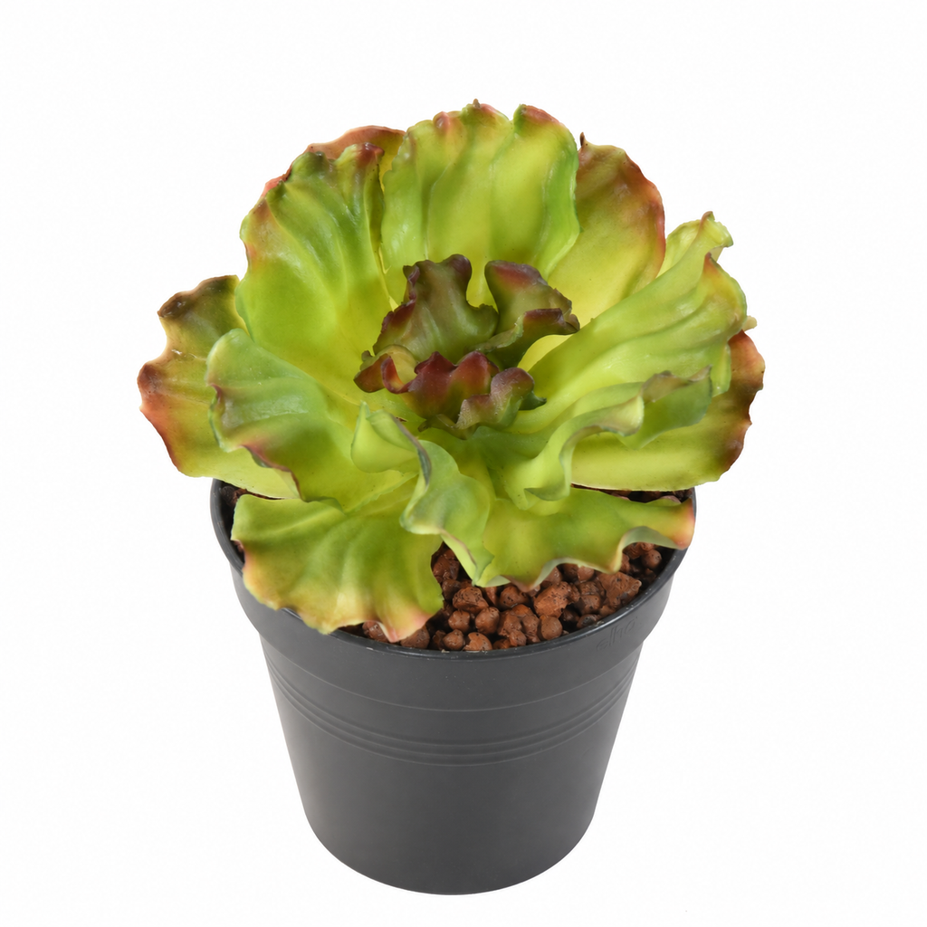 Plante artificielle Aloé Vert Nuancé 16 cm | Belle Verdure