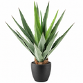 Plante artificielle Agave Furcraea Vert 80 cm | Belle Verdure