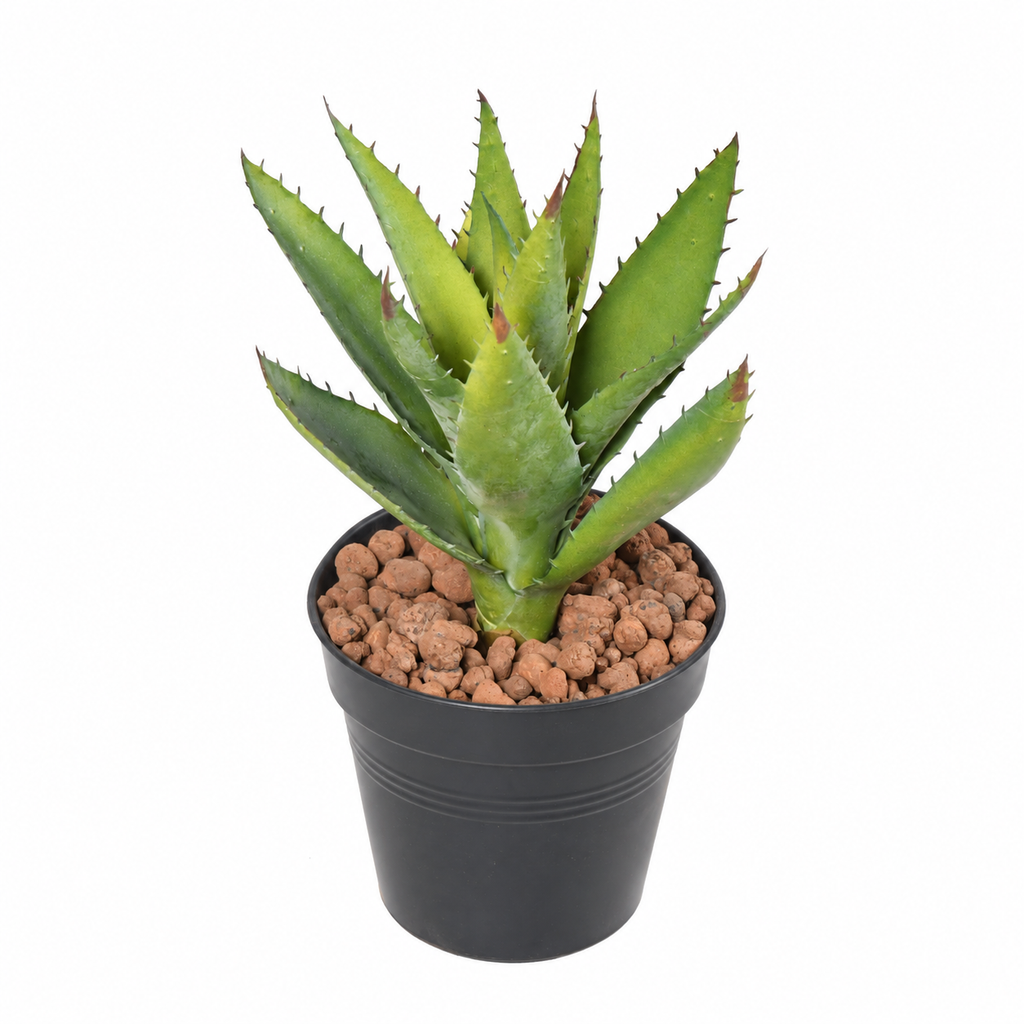 Plante artificielle Aloe Vera Vert 26 cm | Belle Verdure