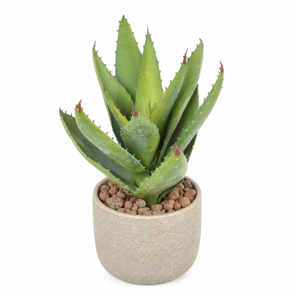 Plante artificielle Aloe Vera Vert 32 cm | Belle Verdure